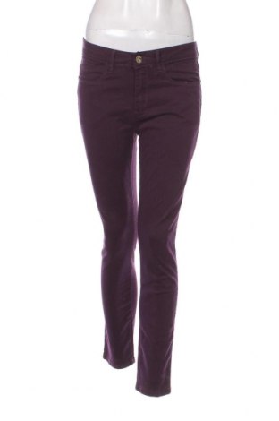 Γυναικείο παντελόνι Stooker, Μέγεθος M, Χρώμα Βιολετί, Τιμή 3,41 €