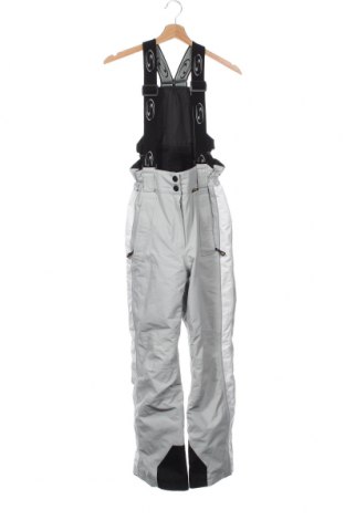 Дамски панталон за зимни спортове, Размер XS, Цвят Сив, Цена 26,25 лв.