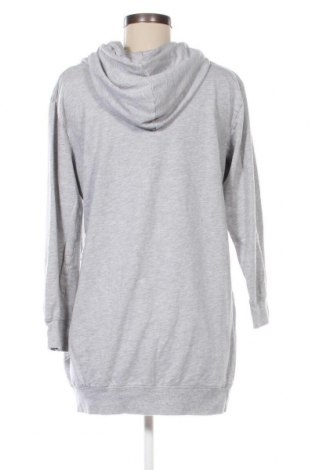 Damen Sweatshirt Blue Motion, Größe L, Farbe Grau, Preis 6,66 €