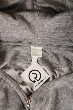 Damen Sweatshirt H&M, Größe S, Farbe Grau, Preis € 5,85