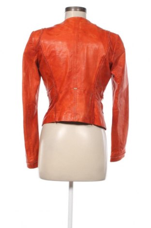 Damen Lederjacke Boss Orange, Größe S, Farbe Orange, Preis € 203,28