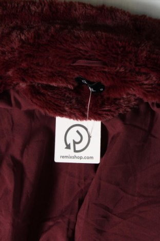 Palton de femei Dotti, Mărime M, Culoare Roșu, Preț 84,47 Lei