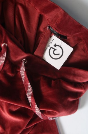 Damen Sporthose Esmara, Größe S, Farbe Orange, Preis 5,45 €