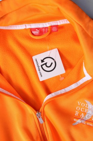 Damen Sportoberteil PUMA, Größe L, Farbe Orange, Preis 24,05 €