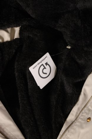Damenjacke, Größe L, Farbe Grau, Preis € 10,49
