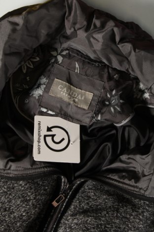 Γυναικείο μπουφάν Canda, Μέγεθος XXL, Χρώμα Γκρί, Τιμή 18,66 €