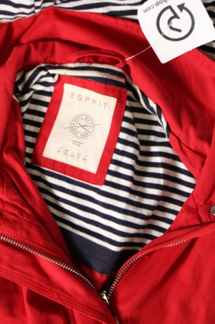 Γυναικείο μπουφάν Esprit, Μέγεθος M, Χρώμα Κόκκινο, Τιμή 78,00 €