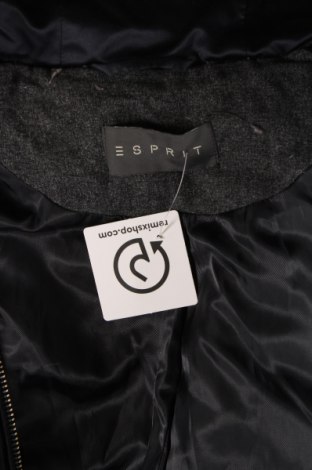 Dámska bunda  Esprit, Veľkosť S, Farba Modrá, Cena  14,03 €