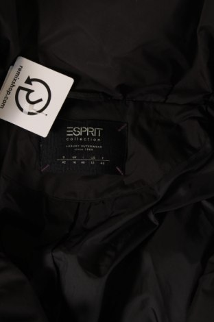 Дамско яке Esprit, Размер L, Цвят Черен, Цена 36,75 лв.