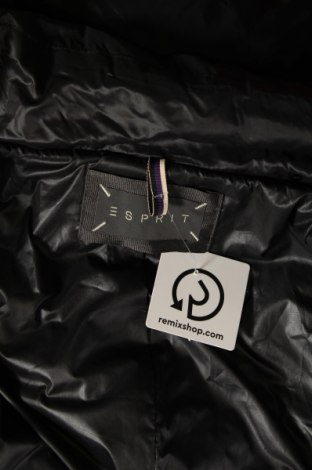 Γυναικείο μπουφάν Esprit, Μέγεθος M, Χρώμα Μαύρο, Τιμή 18,56 €