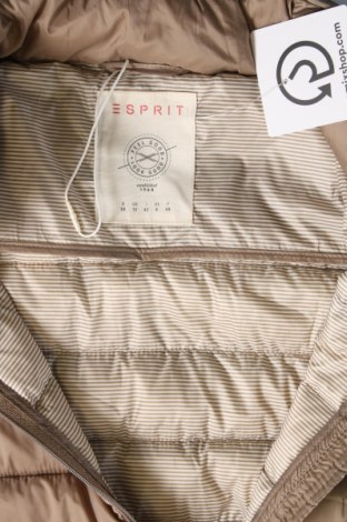 Damenjacke Esprit, Größe M, Farbe Beige, Preis 15,14 €