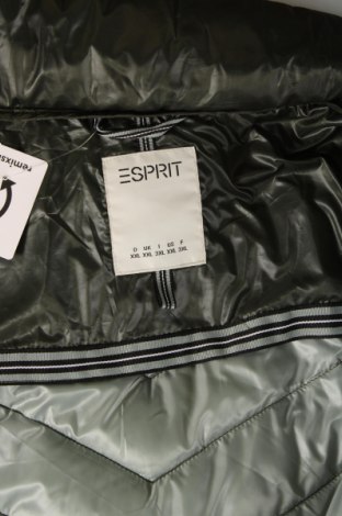 Dámská bunda  Esprit, Velikost XXL, Barva Zelená, Cena  1 084,00 Kč