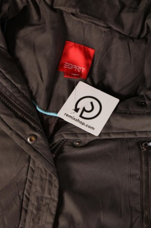 Γυναικείο μπουφάν Esprit, Μέγεθος S, Χρώμα Γκρί, Τιμή 9,28 €