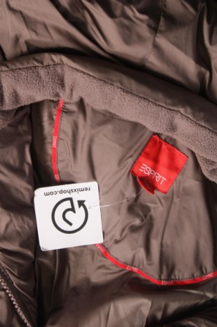 Γυναικείο μπουφάν Esprit, Μέγεθος XL, Χρώμα Καφέ, Τιμή 46,39 €