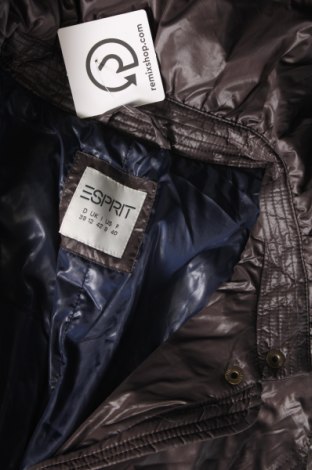 Γυναικείο μπουφάν Esprit, Μέγεθος M, Χρώμα Γκρί, Τιμή 8,35 €