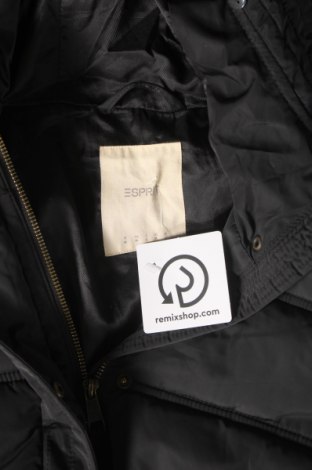 Γυναικείο μπουφάν Esprit, Μέγεθος M, Χρώμα Μαύρο, Τιμή 9,28 €