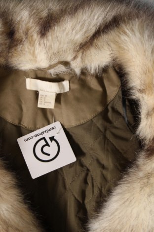 Dámska bunda  H&M, Veľkosť M, Farba Zelená, Cena  20,39 €