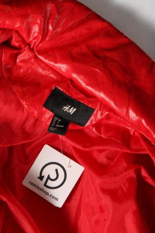 Dámska bunda  H&M, Veľkosť S, Farba Červená, Cena  19,60 €