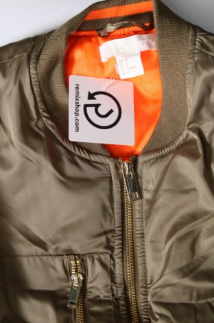 Damenjacke H&M, Größe M, Farbe Grün, Preis 9,35 €