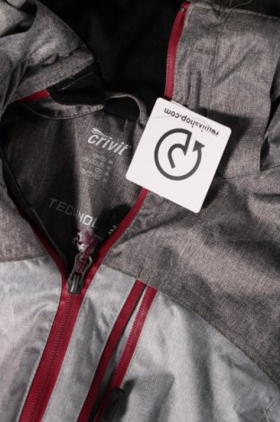 Dámska bunda pre zimné športy  Crivit, Veľkosť S, Farba Sivá, Cena  13,65 €