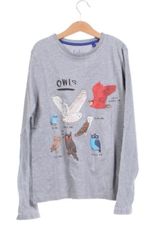 Kinder Shirt Boden, Größe 11-12y/ 152-158 cm, Farbe Grau, Preis € 15,00