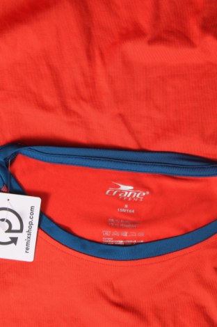 Kinder Shirt Crane, Größe 12-13y/ 158-164 cm, Farbe Mehrfarbig, Preis 19,48 €
