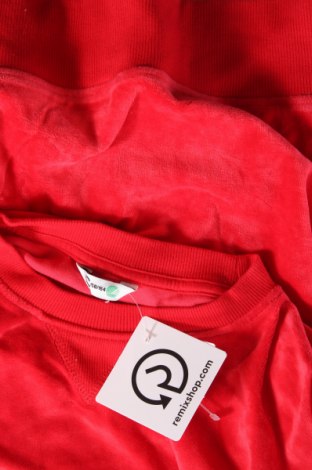 Kinder Shirt Cubus, Größe 12-13y/ 158-164 cm, Farbe Rot, Preis 2,22 €
