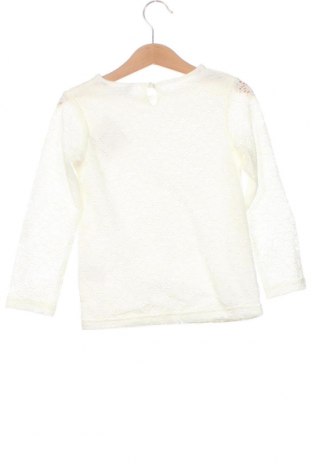 Детска блуза Kids, Размер 2-3y/ 98-104 см, Цвят Екрю, Цена 6,12 лв.