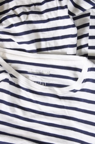 Kinder Shirt Staccato, Größe 10-11y/ 146-152 cm, Farbe Mehrfarbig, Preis € 3,83