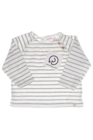 Детска блуза Zara, Размер 3-6m/ 62-68 см, Цвят Многоцветен, Цена 5,75 лв.