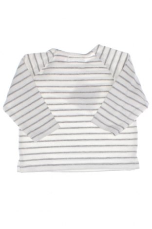 Детска блуза Zara, Размер 3-6m/ 62-68 см, Цвят Многоцветен, Цена 13,69 лв.