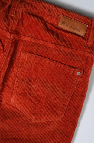 Παιδική φούστα Blue Ridge, Μέγεθος 12-13y/ 158-164 εκ., Χρώμα Πορτοκαλί, Τιμή 3,34 €