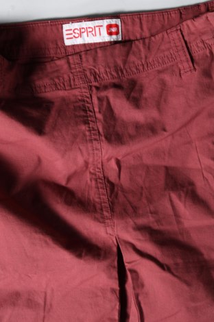 Παιδική φούστα Esprit, Μέγεθος 9-10y/ 140-146 εκ., Χρώμα Ρόζ , Τιμή 21,65 €