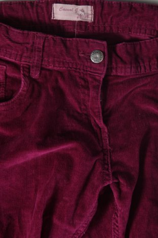 Pantaloni de catifea reiată, pentru copii Alive, Mărime 12-13y/ 158-164 cm, Culoare Mov, Preț 20,03 Lei