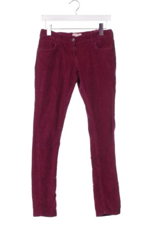 Pantaloni de catifea reiată, pentru copii Alive, Mărime 12-13y/ 158-164 cm, Culoare Mov, Preț 13,82 Lei
