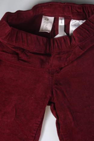 Παιδικό κοτλέ παντελόνι H&M, Μέγεθος 3-4y/ 104-110 εκ., Χρώμα Κόκκινο, Τιμή 5,52 €