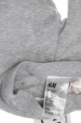 Kinderhose H&M, Größe 4-5y/ 110-116 cm, Farbe Grau, Preis 11,00 €
