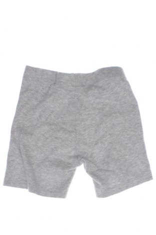Детски панталон H&M, Размер 4-5y/ 110-116 см, Цвят Сив, Цена 21,51 лв.