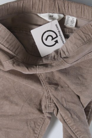 Παιδικό παντελόνι H&M, Μέγεθος 5-6y/ 116-122 εκ., Χρώμα  Μπέζ, Τιμή 12,99 €