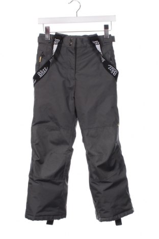 Детски панталон за зимни спортове, Размер 7-8y/ 128-134 см, Цвят Сив, Цена 29,00 лв.