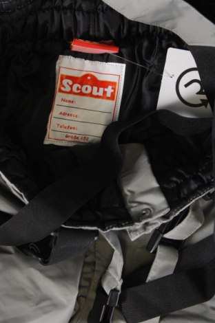 Детски панталон за зимни спортове Scout, Размер 10-11y/ 146-152 см, Цвят Сив, Цена 10,80 лв.