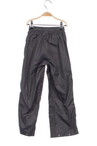 Pantaloni de trening, pentru copii Pocopiano, Mărime 4-5y/ 110-116 cm, Culoare Gri, Preț 29,94 Lei