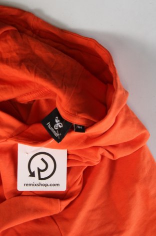 Kinder Sweatshirts Hummel, Größe 12-13y/ 158-164 cm, Farbe Orange, Preis 20,88 €