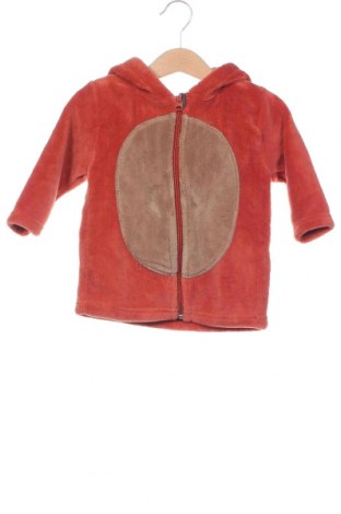 Kinder Sweatshirts Lupilu, Größe 18-24m/ 86-98 cm, Farbe Mehrfarbig, Preis 7,80 €