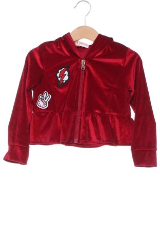 Kinder Sweatshirts, Größe 2-3y/ 98-104 cm, Farbe Rot, Preis € 6,89