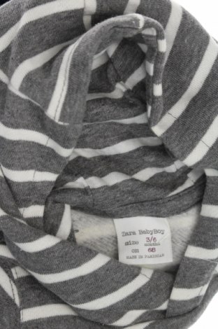 Kinder Sweatshirts Zara, Größe 3-6m/ 62-68 cm, Farbe Grau, Preis € 5,89
