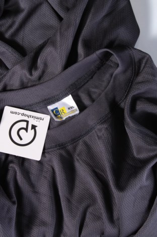 Ανδρική μπλούζα, Μέγεθος XL, Χρώμα Γκρί, Τιμή 14,23 €