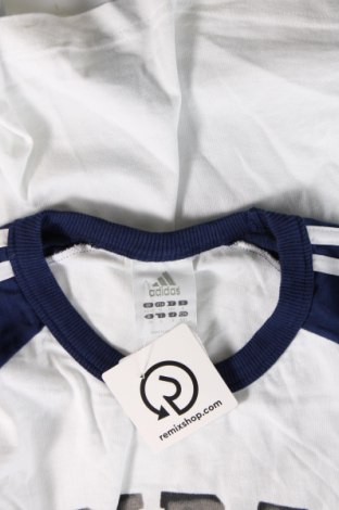 Ανδρική μπλούζα Adidas, Μέγεθος M, Χρώμα Πολύχρωμο, Τιμή 12,62 €