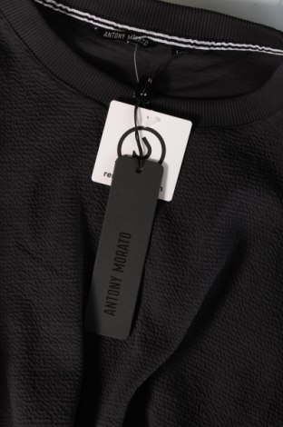 Herren Shirt Antony Morato, Größe L, Farbe Grau, Preis 33,40 €