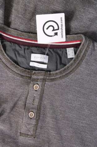 Herren Shirt Esprit, Größe L, Farbe Grün, Preis € 14,00